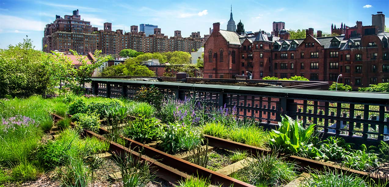 Green sustainable rooftop in urban environment